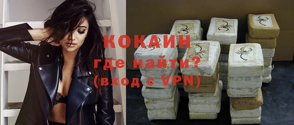 ПСИЛОЦИБИНОВЫЕ ГРИБЫ Щучье