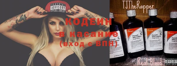 ПСИЛОЦИБИНОВЫЕ ГРИБЫ Щучье