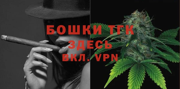 ПСИЛОЦИБИНОВЫЕ ГРИБЫ Щучье