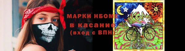 ПСИЛОЦИБИНОВЫЕ ГРИБЫ Щучье