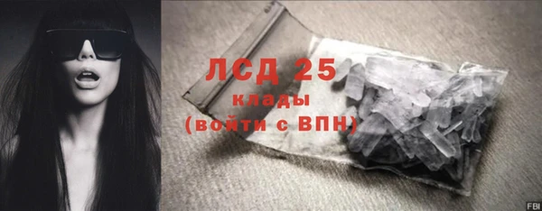 ПСИЛОЦИБИНОВЫЕ ГРИБЫ Щучье