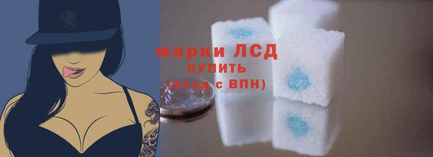 ПСИЛОЦИБИНОВЫЕ ГРИБЫ Щучье