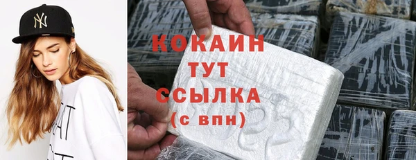 прущие крисы Щигры