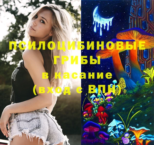 ПСИЛОЦИБИНОВЫЕ ГРИБЫ Щучье